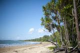 a tropical beach lined with pandanus trees