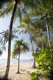 looking out from lush tropical vegetation to a sandy beach and warm tropical waters beyond