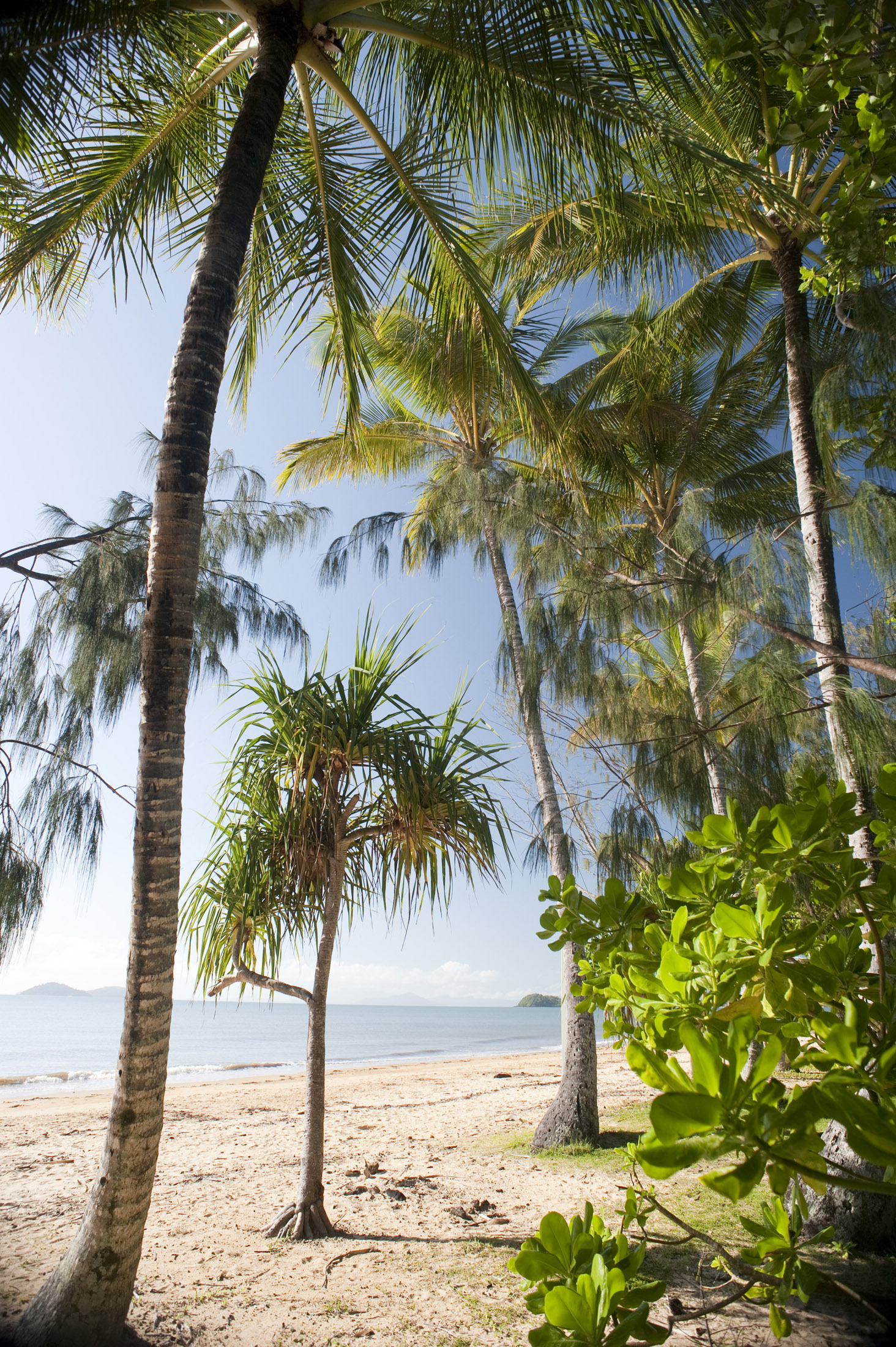 an image of looking out from lush tropical vegetation to a sandy beach and warm tropical waters beyond
