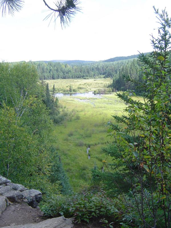 Scenic view of the Algonquin Provincial Park in Canada showing one of the over 1200 lakes to be found there in a forested valley