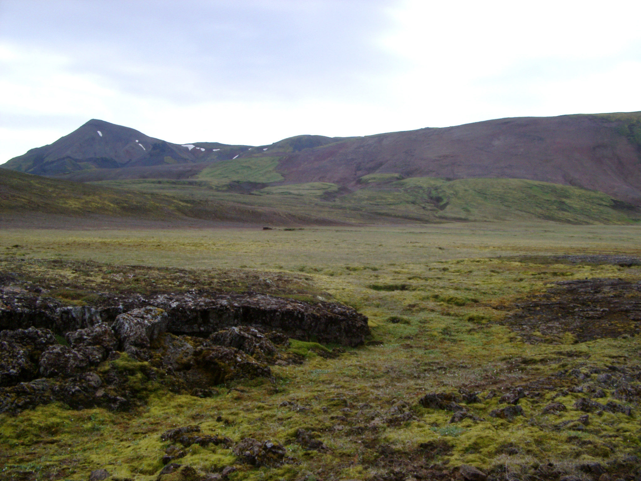 an image of Mossy green summer landscape in Iceland with a volcanic mountain range in the background under a cloudy blue sky