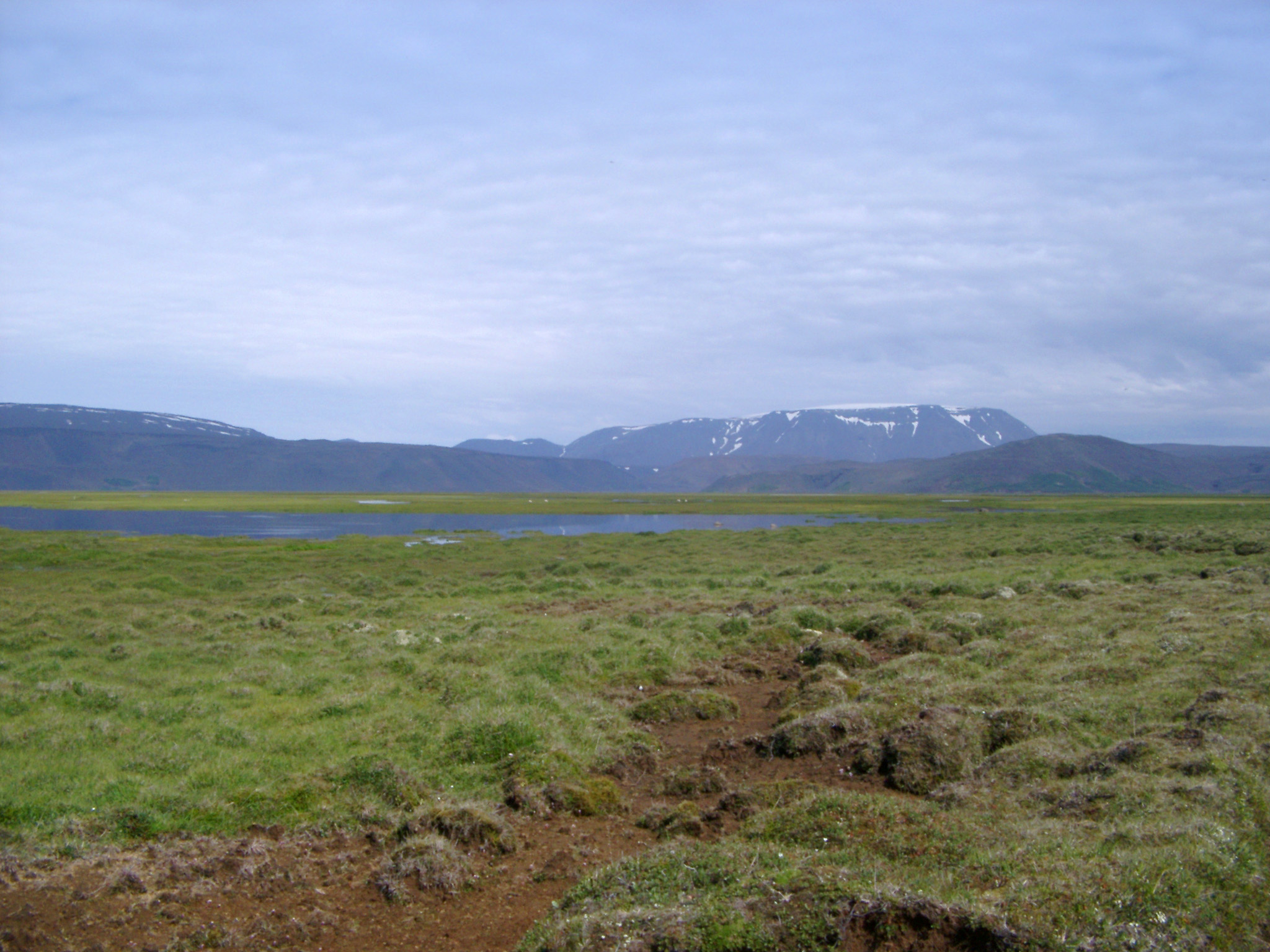 an image of Remote path across the grassy lowland plains in Iceland with a meltwater lake and distant volcanic mountains