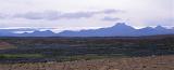 Panoramic Iceland landscape with blue lupins flowering on the grassland and a glacier on a distant volcanic mountain rane