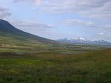 Extensive View Grassy Green Landscape on Iceland. Captured on Light Blue Sky Background.