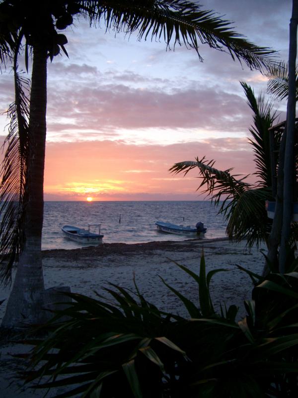 Boats and palms in a Mexican sunset Boats and palms in a colorful Mexican sunset over a tranquil ocean and tropical beach