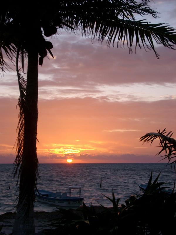 Palm trees silhouetted against a tropical sunset Palm trees silhouetted against a colorful tropical sunset over the ocean in Mexico, symbolic of summer vacations and travel