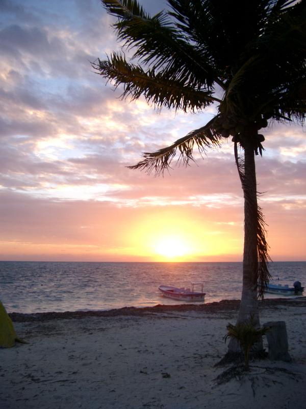 Palm tree on a tranquil tropical beach silhouetted against a colorful sunset in Mexico symbolic of summer vacations and travel