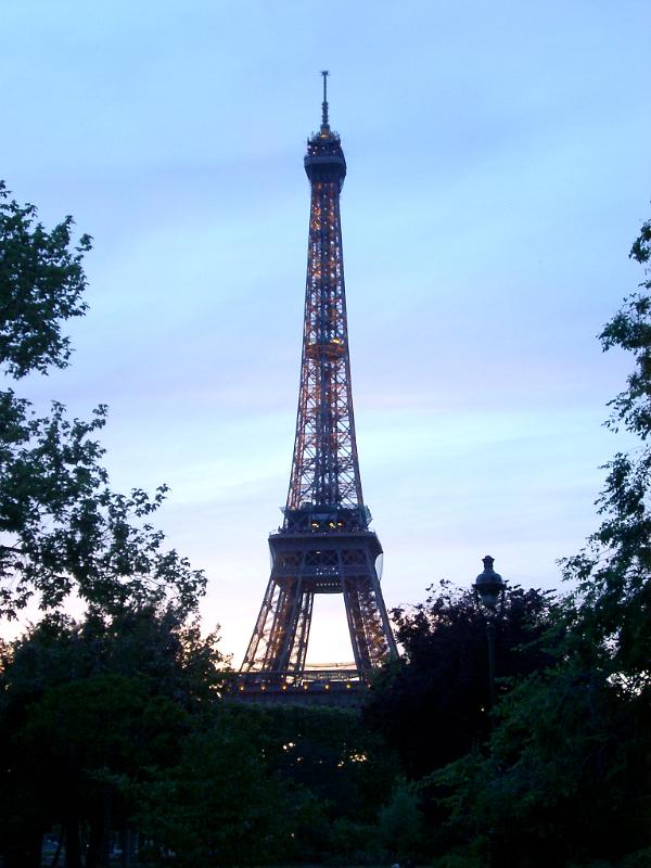 Silhouette of Eiffel Tower and Tree Tops at Dusk or Dawn, Paris, France