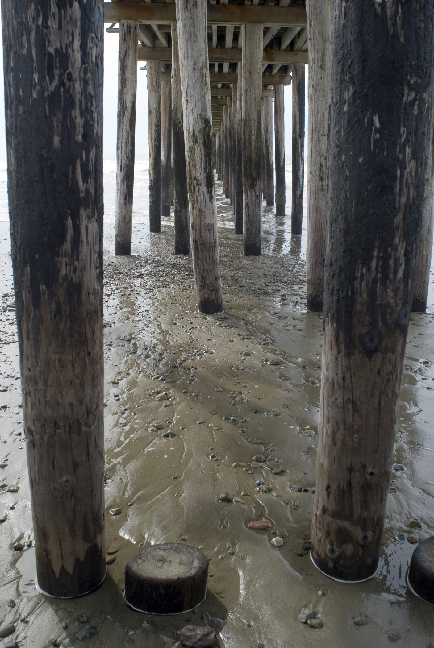 an image of Underneath Old Wooden Columns at Cayucos Pier in California