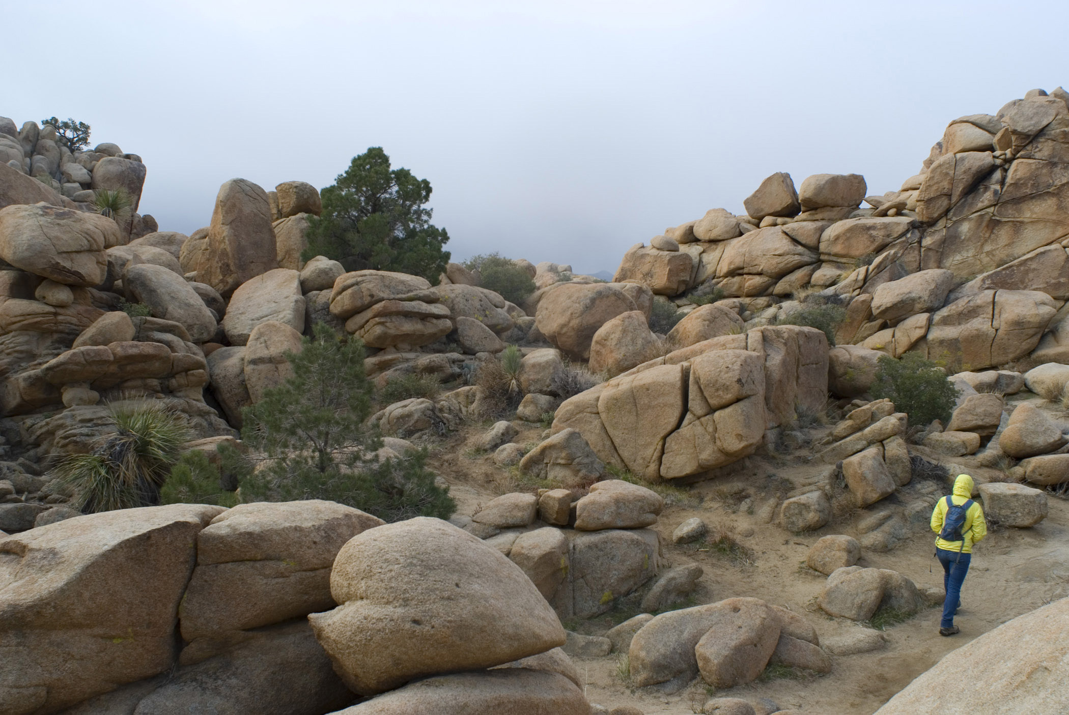 an image of Person Hiking in Rocky Landscape, Joshua Tree National Park, California, USA