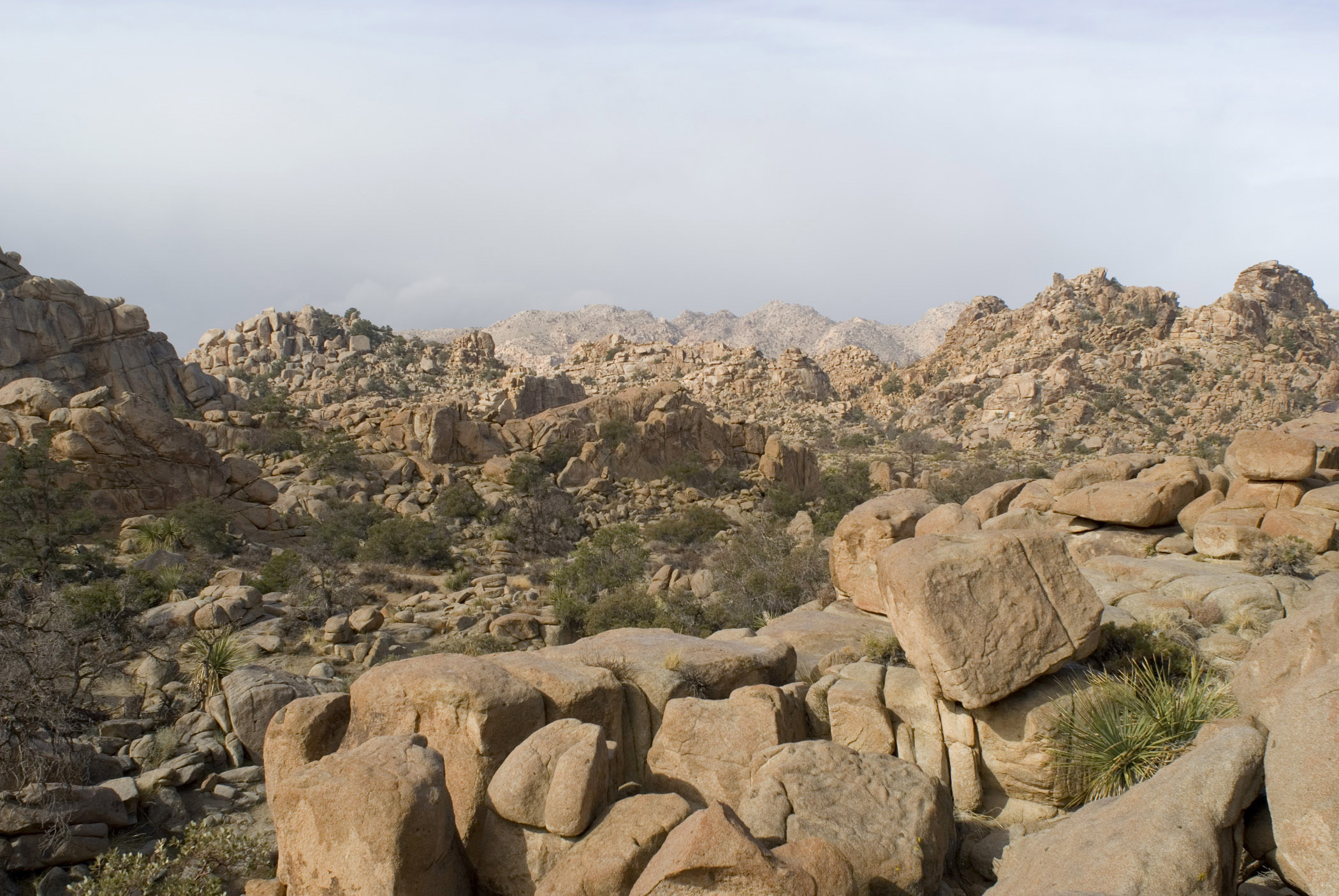 an image of Big Rocks with Small Green Grasses on Ground at Joshua Tree National Park. Isolated on Lighter Blue Gray Sky Background.