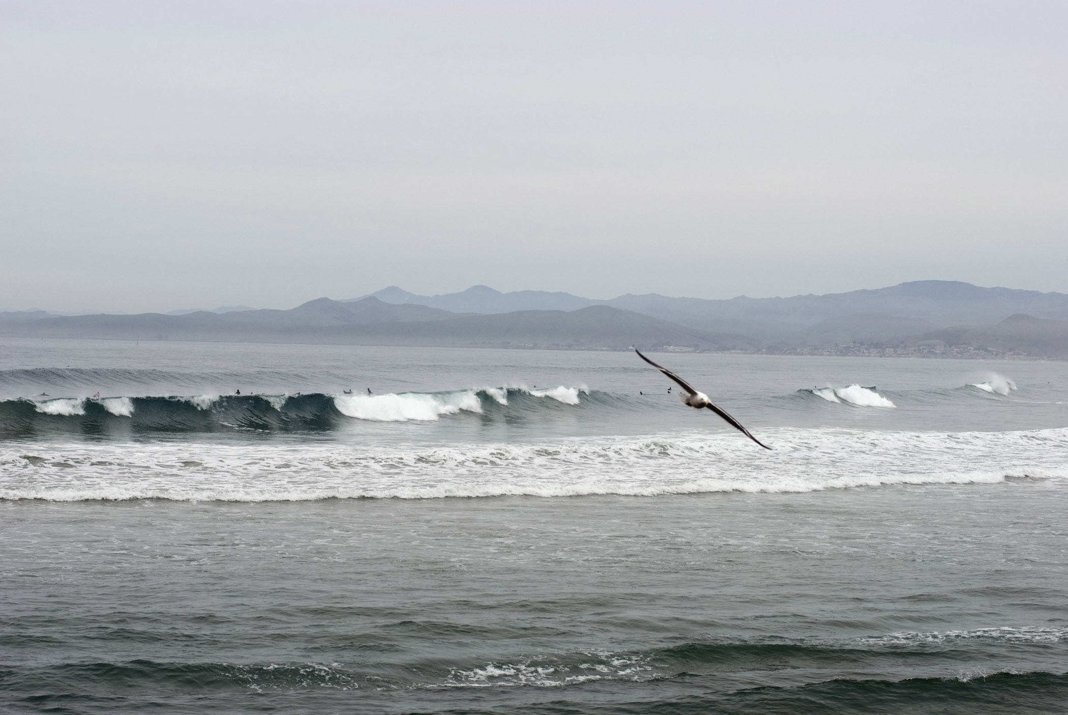 an image of Bird Flying Above Waves of Beautiful Morro Bay Located in California. Captured in Extensive View with Mountains Afar.