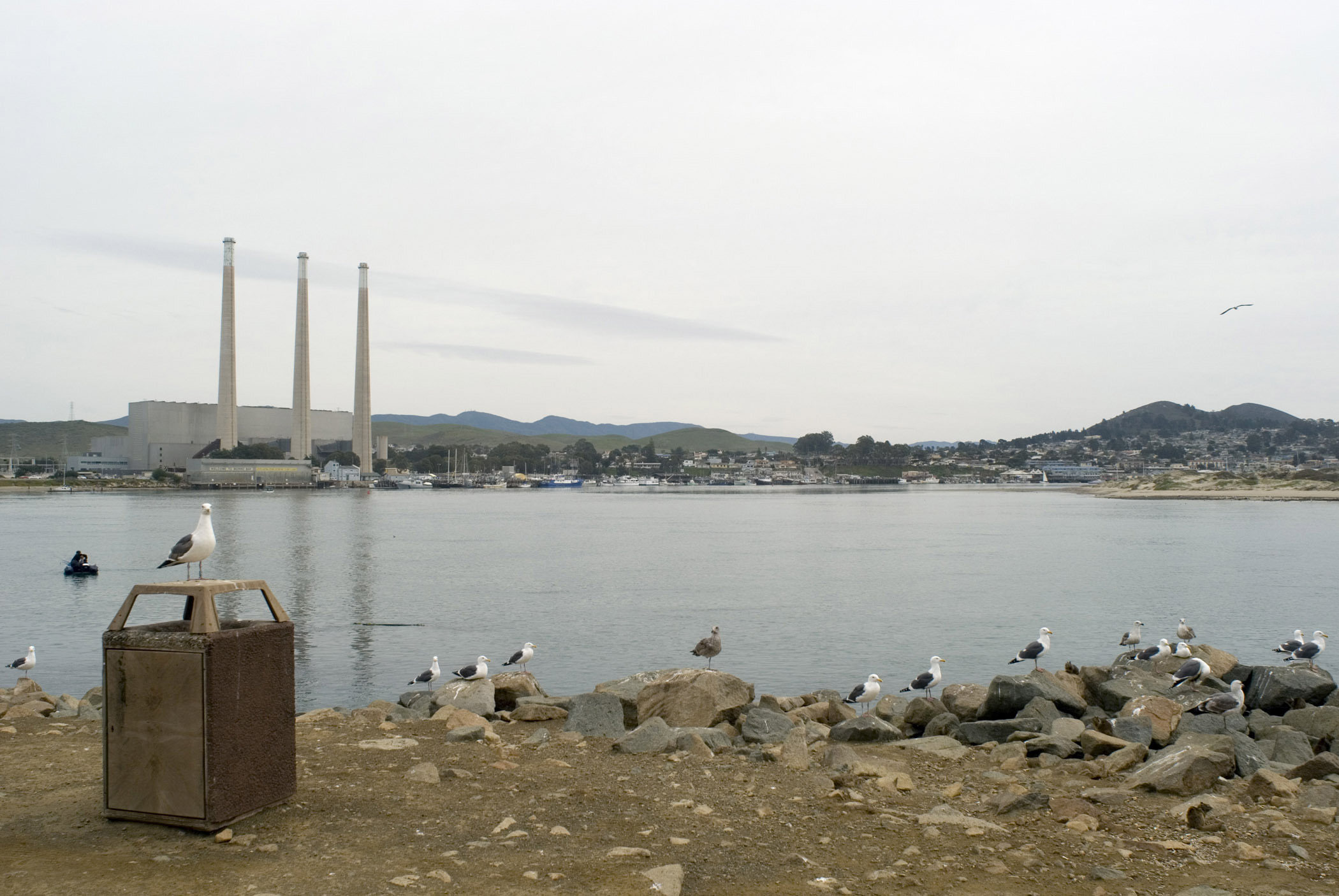 an image of Beautiful Picturesque of Morro Bay with Birds on Side Rocks in Extensive View. Captured on Day Light.