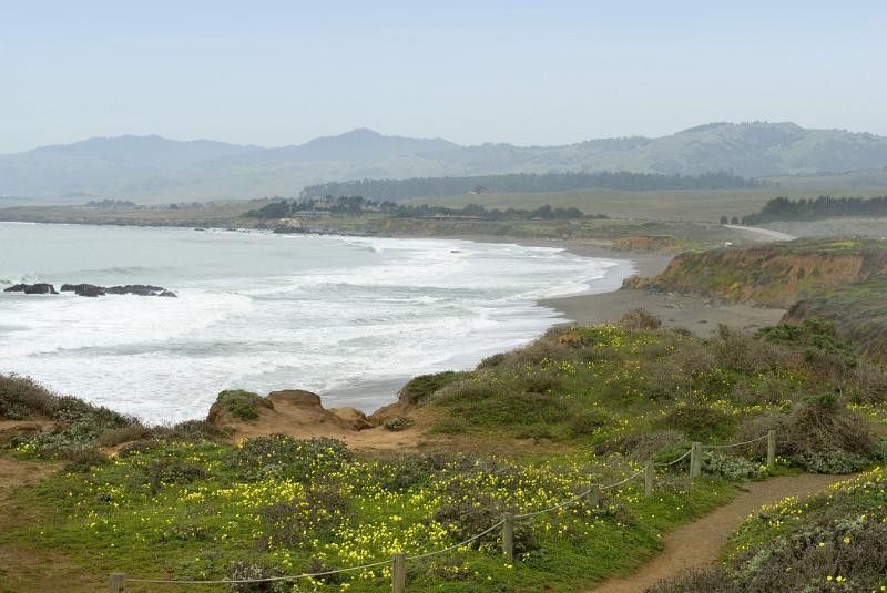 Shoreline and Cliffs of Central Coast, California, USA
