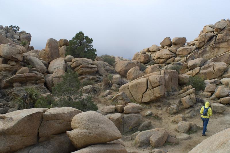 Person Hiking in Rocky Landscape, Joshua Tree National Park, California, USA