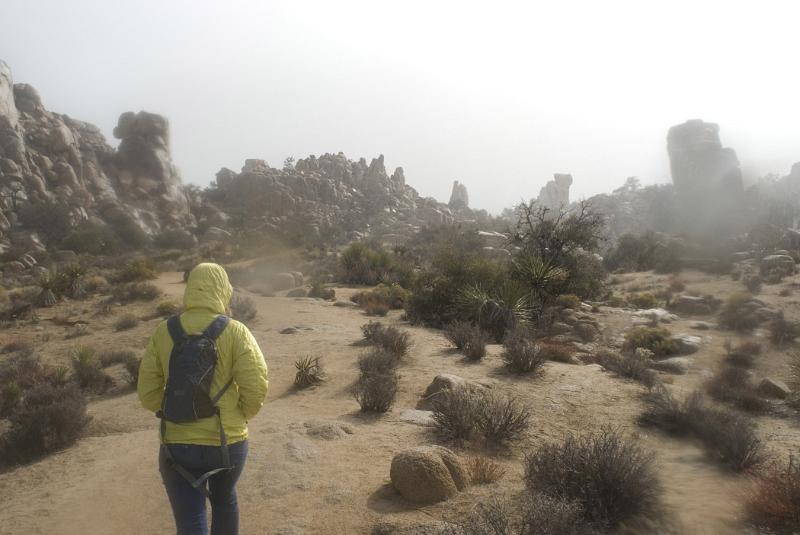Hiker in Joshua Tree National Park on a rainy misty day with its desert landscape and ecosystem dotted with cacti and rock formations