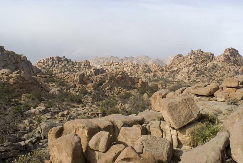 Big Rocks with Small Green Grasses on Ground at Joshua Tree National Park. Isolated on Lighter Blue Gray Sky Background.