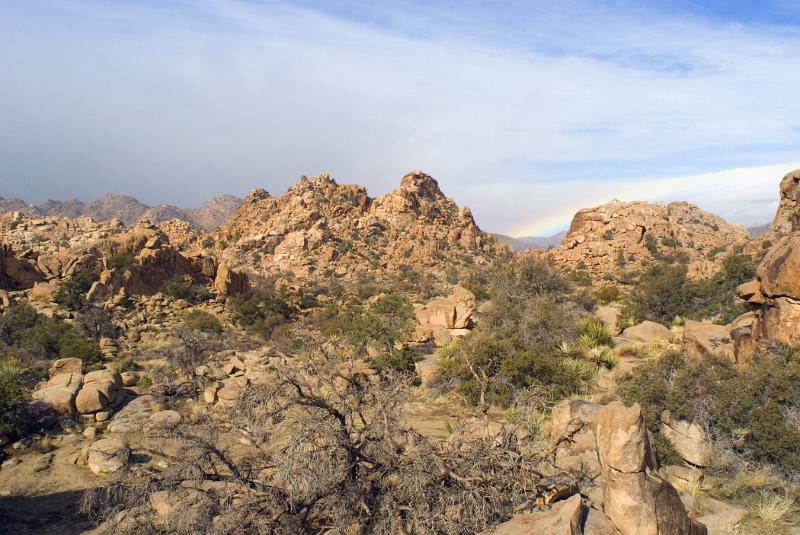 Grassy Landscape and Big Rocks at Joshua Tree National Park. Captured in Extensive View in the Day Light Time.