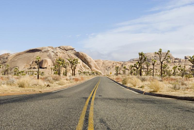 Road Through Desert Landscape, Joshua Tree National Park, California, USA