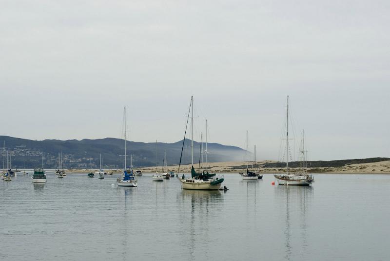 Sailboats Anchored in Morro Bay, California Under Overcast Sky
