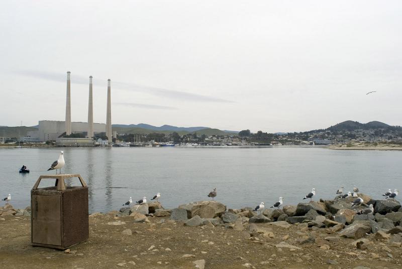 Beautiful Picturesque of Morro Bay with Birds on Side Rocks in Extensive View. Captured on Day Light.