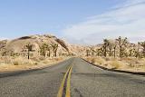 Road Through Desert Landscape, Joshua Tree National Park, California, USA
