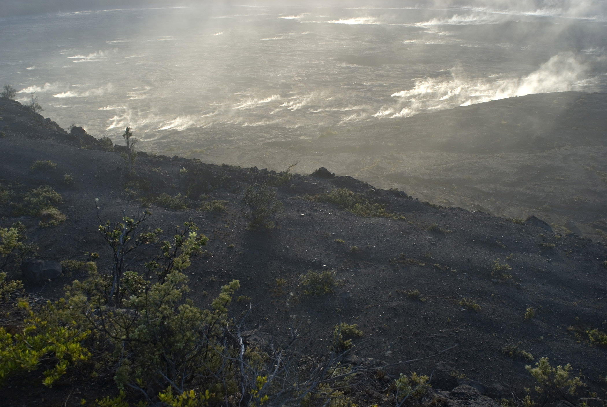 an image of Green Plants and Smoke at Volcanoes National Park in Extensive View.