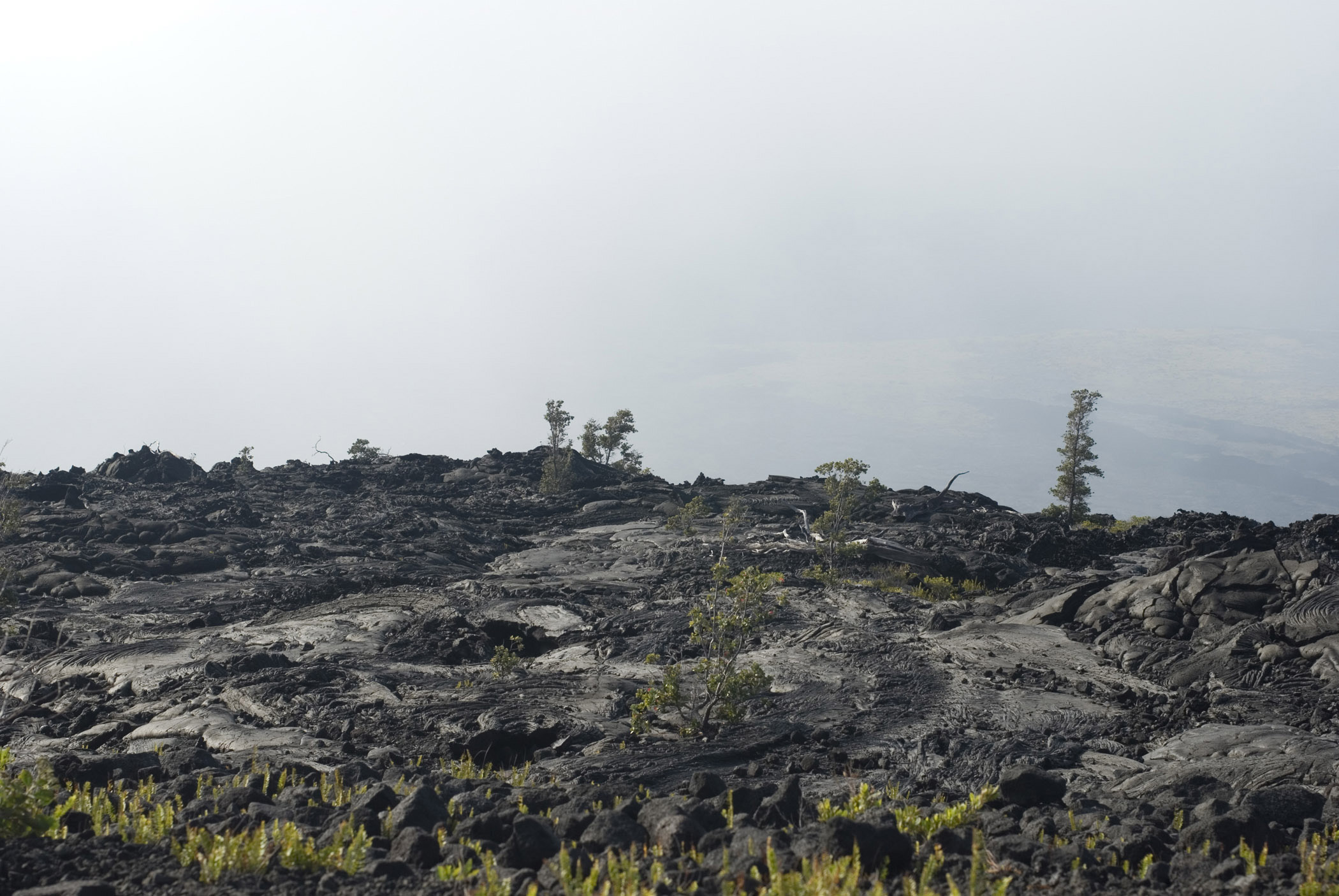 an image of Volcanic Lava Field with Hardened Lava, Hawaii