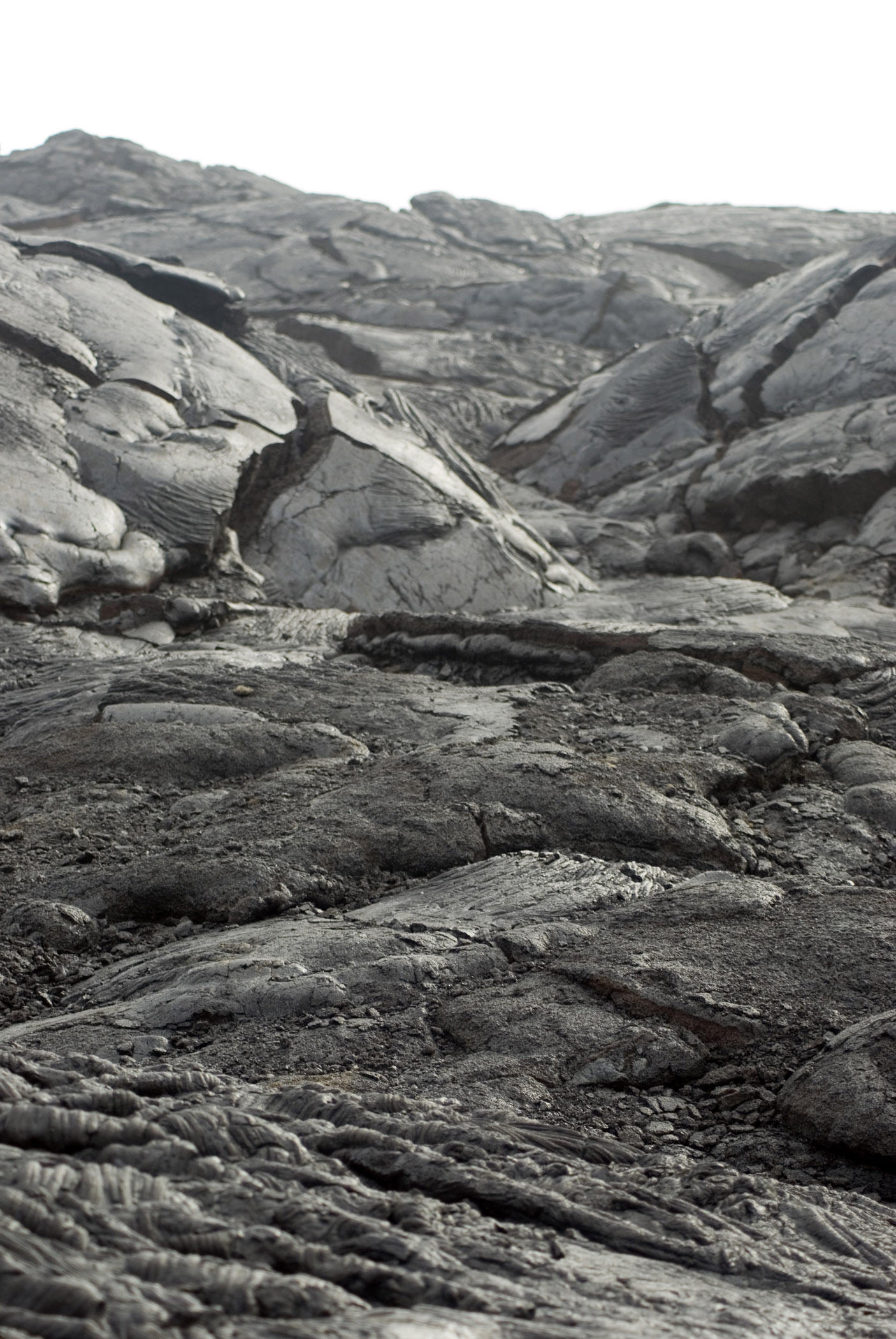 an image of Close up Black Volcanic Lava Fields in Hawaii