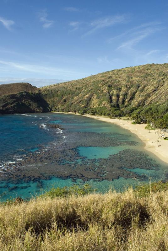Beautiful Blue Water Hanauma Bay Beach Overview with Grassy Cliffs on Sides. Isolated on Blue Sky Background.