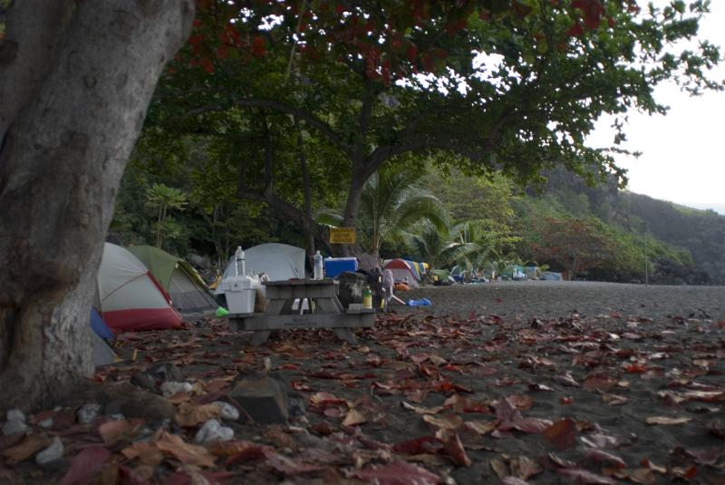 Tourists with their Camp Tents Under Huge Trees at Ho'Okena Beach Park in Hawaii
