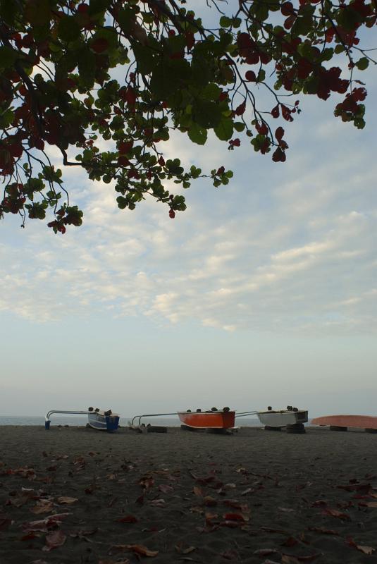 Outrigger Canoes Lined Up on Deserted Beach
