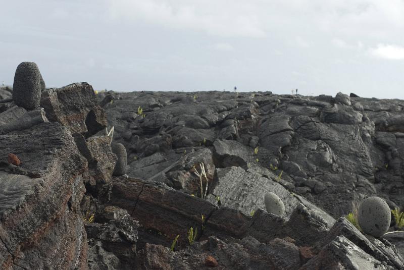 Lava fields on Ohau, Hawaii with solidified igneous volcanic rock stretching into the distance