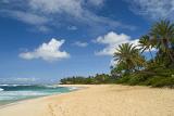 Deserted Paradise, Sunset Beach with Blue Sky, Sand, and Palm Trees in Hawaii