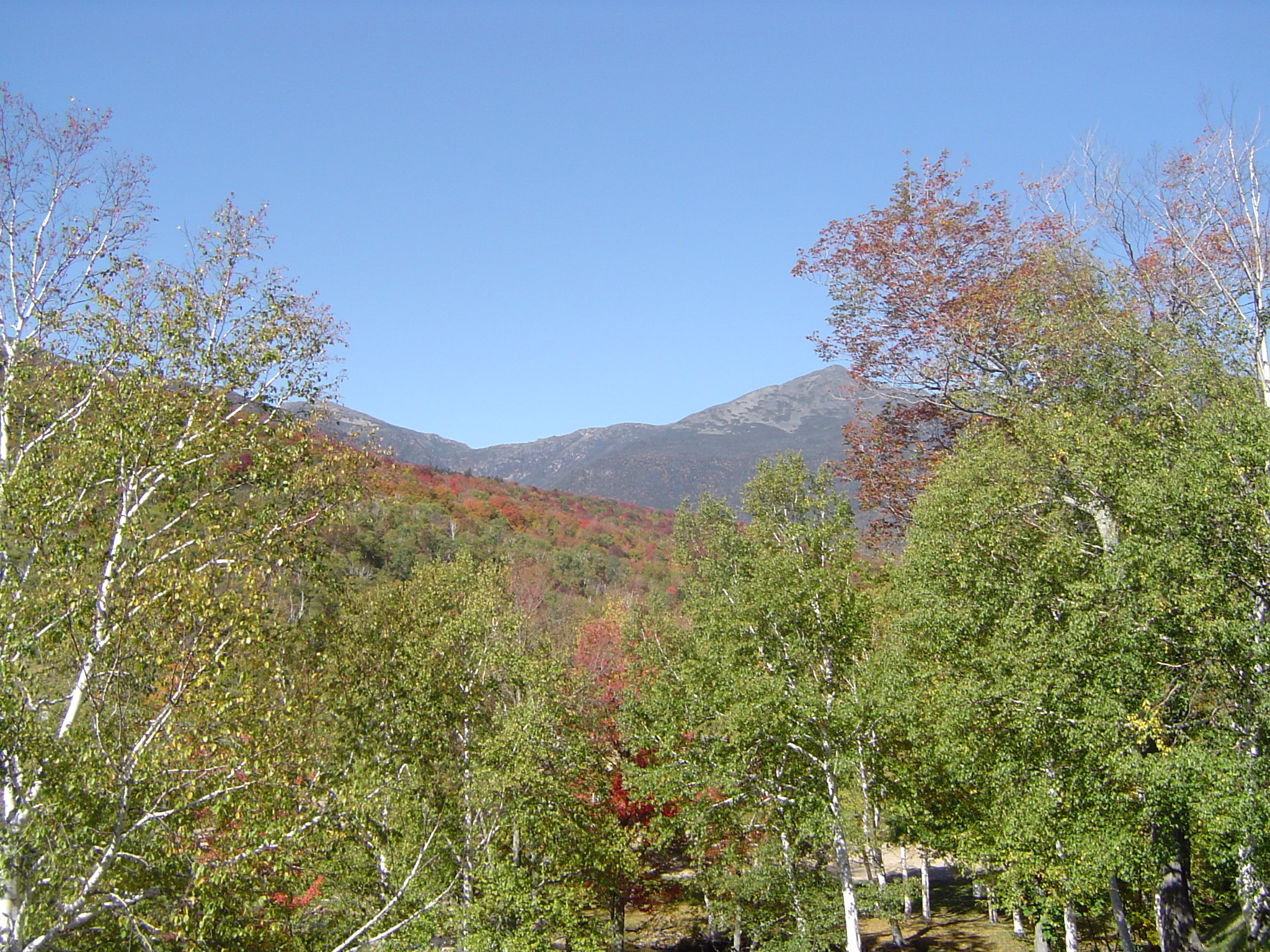 an image of Beautiful Green Trees and Huge Mountains Portrait. Isolated on Light Blue Sky Background.