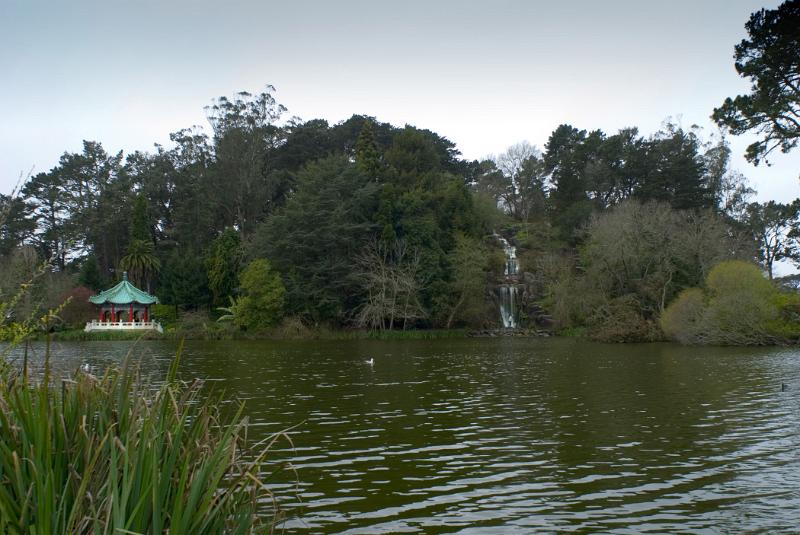 Beautiful River at Golden Gate Park Beautiful River Surrounded by Green Plants and Trees at Golden Gate Park San Francisco.