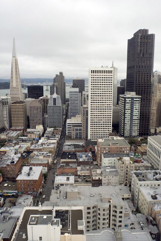Architectural City Buildings at Downtown San Francisco in Aerial View. Captured on Gray Sky Background.