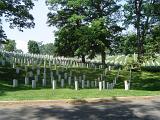 Graves at Grassy Arlington national Cemetery with Tall Green Trees. Isolated on Lighter Blue Sky Background.