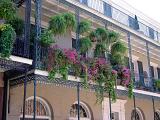 Architectural Building with Outdoor Floral Decorations at New Orleans