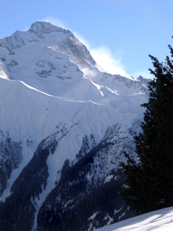 Winter mountains in France with a rugged snow covered peak towering above an evergreen forest of fir trees under a sunny blue sky