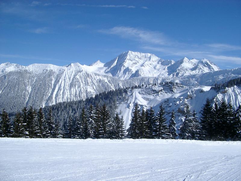 Beautiful Spot of Huge Mountains, Fir Trees and Wide Field Filled with Snow on Winter Holiday.