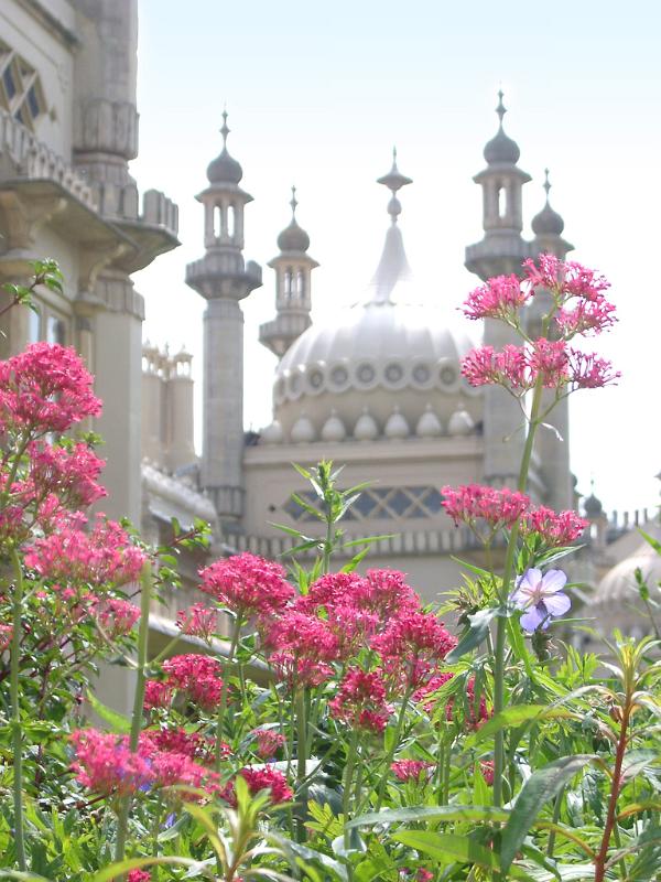Attractive Fresh Red Flowers at the Back Garden of Famous Royal Pavilion Building, Located at Brighton, England.
