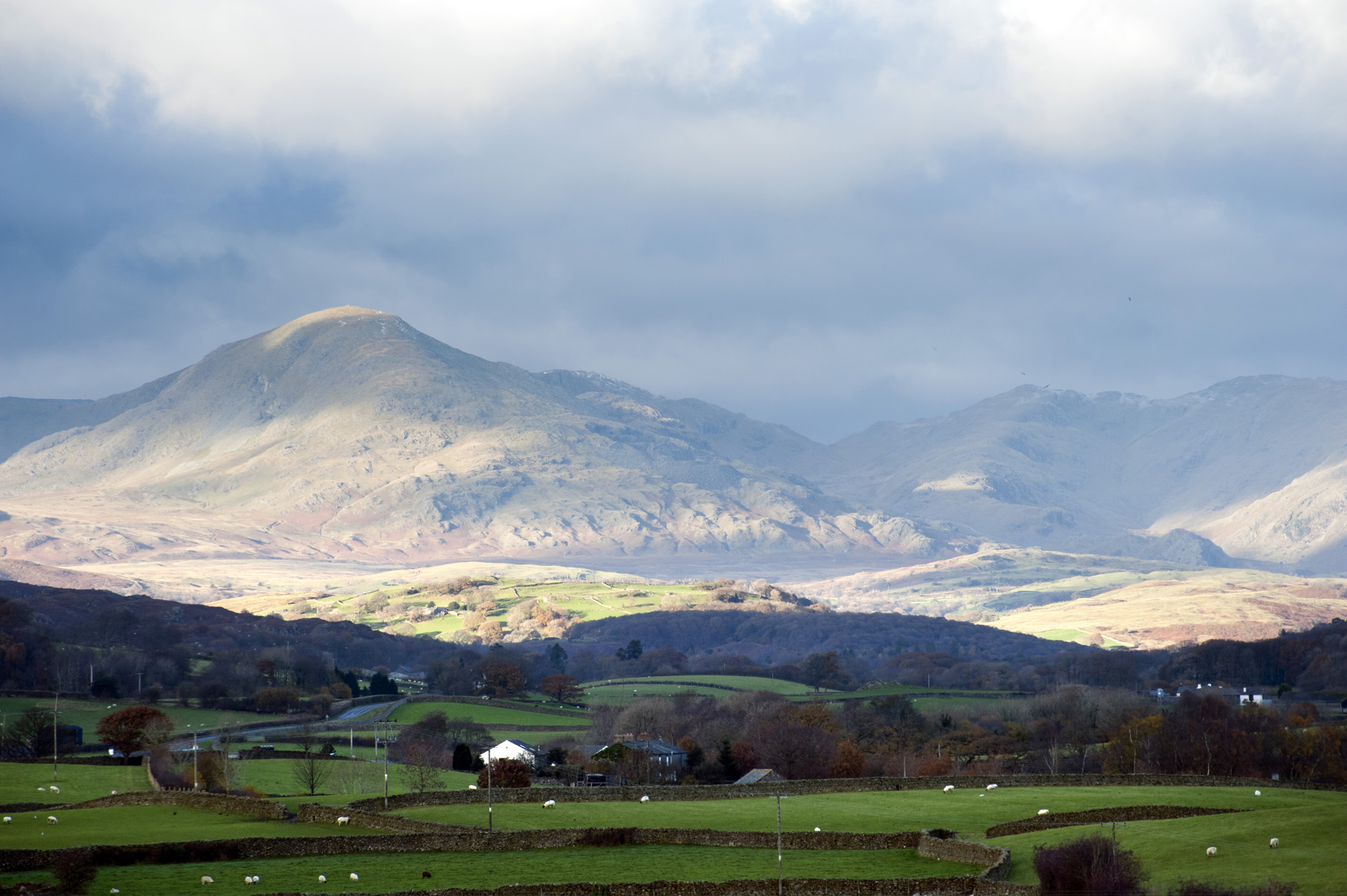 an image of View of Balwith Knott, a hill in the south of Cumbria in the English Lake District, with sheep grazing in lush green pastures below