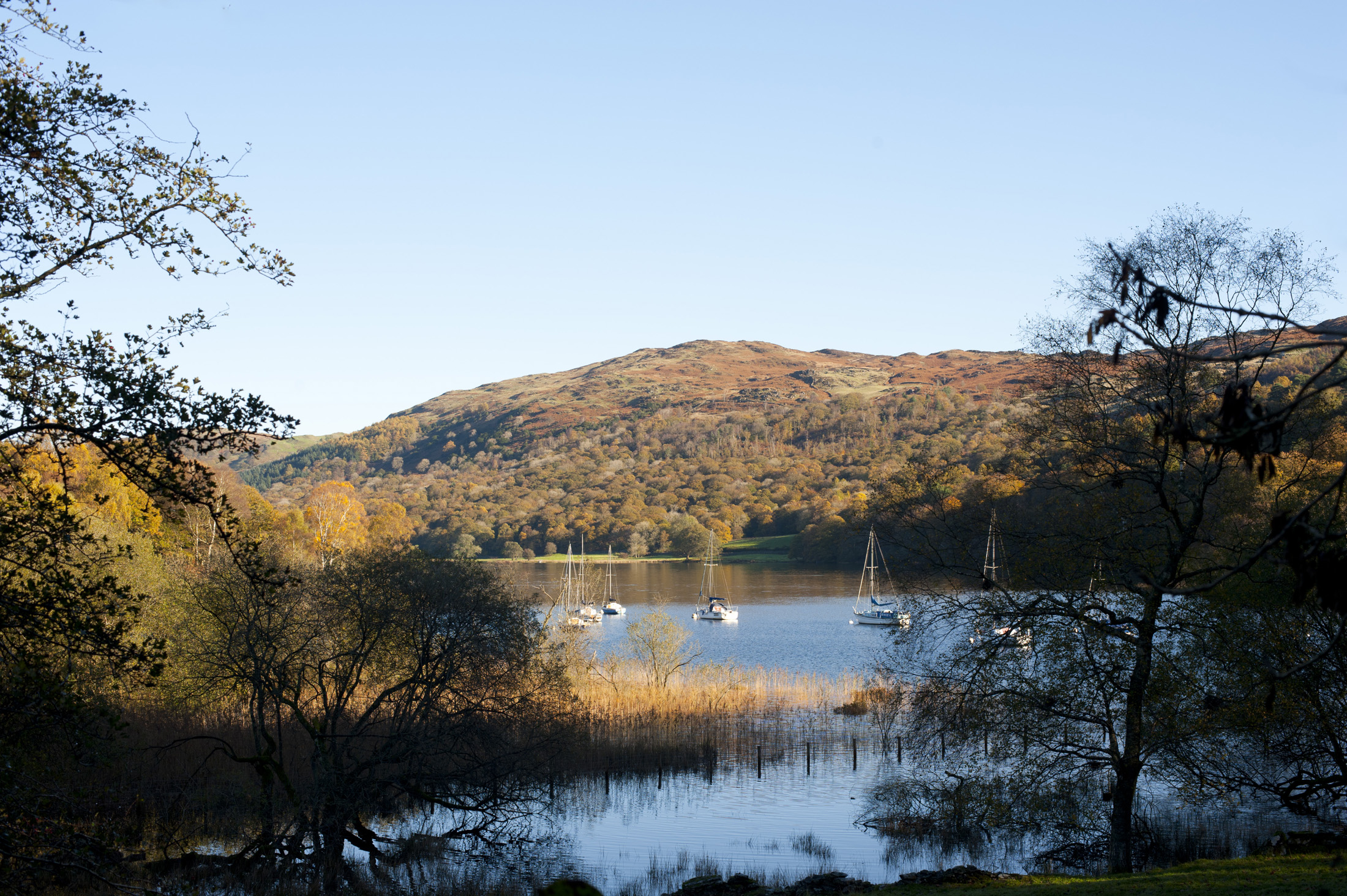 an image of a shelterd bay on coniston water near balwith common, with low autumn sun and a clear blue sky