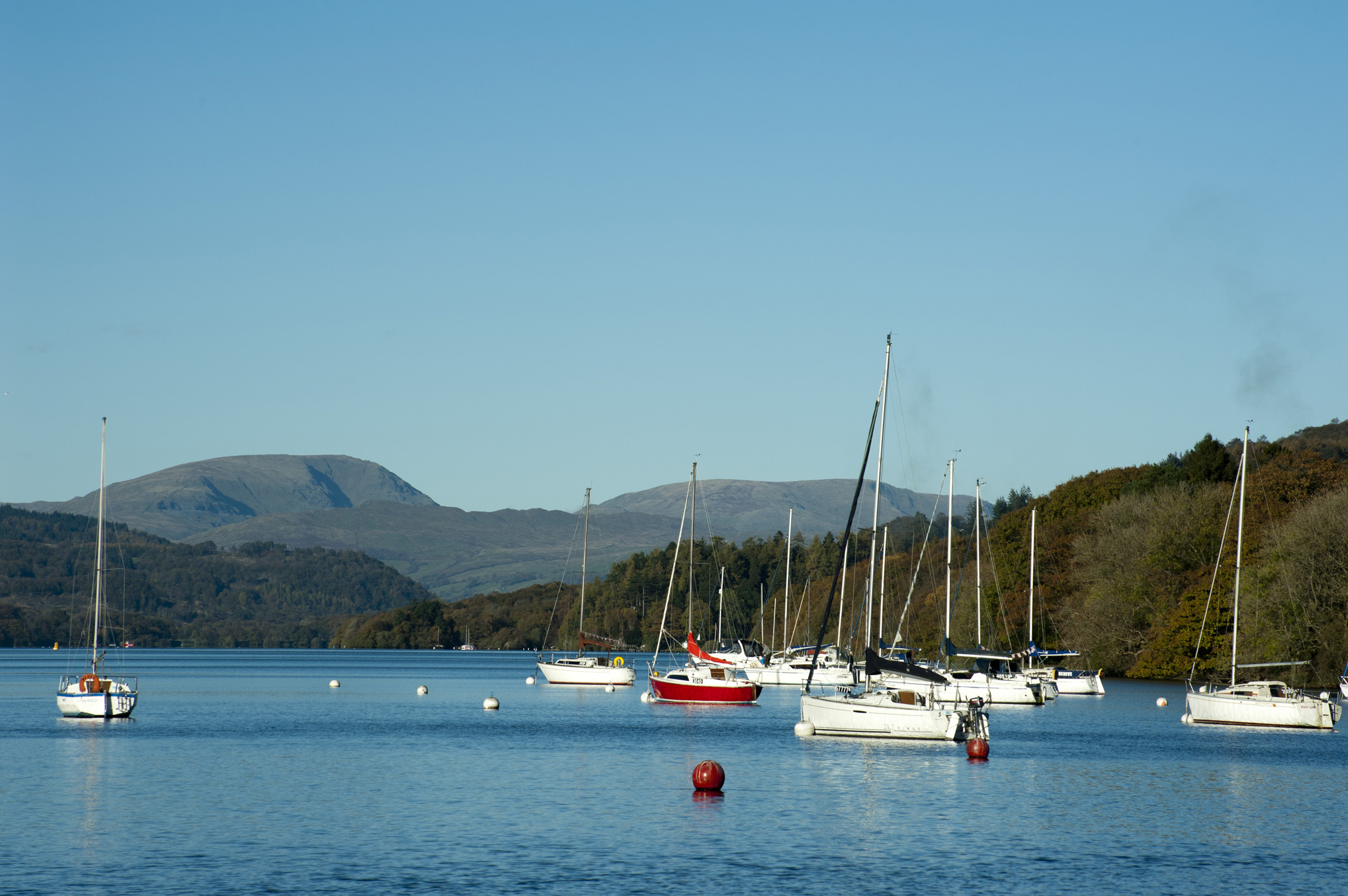 an image of Yachts moored to buoys on the calm water of the lake at Windermere in the Lake District in Cumbria