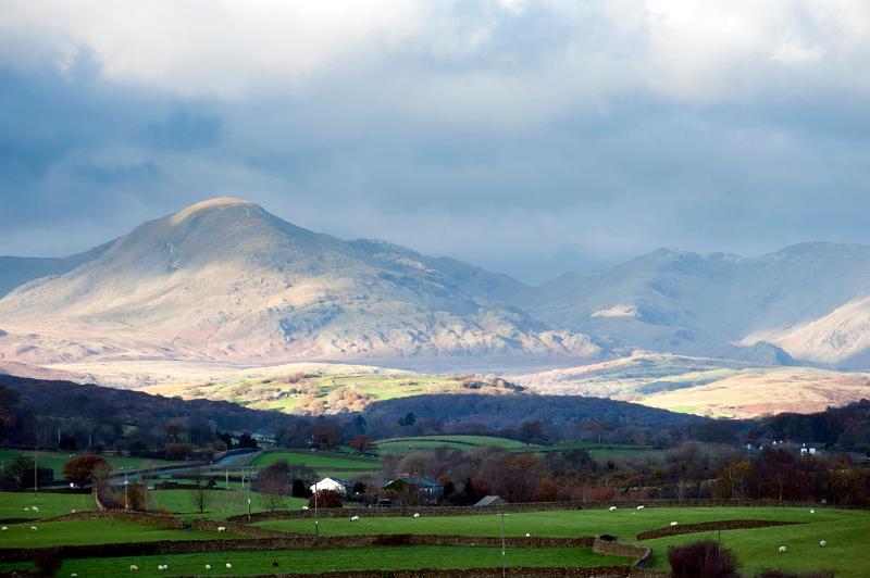 View of Balwith Knott, a hill in the south of Cumbria in the English Lake District, with sheep grazing in lush green pastures below