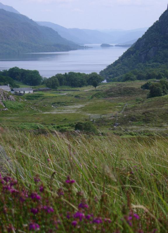 calm loch and surrounding hills in the scottish highlands