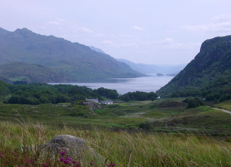 Tranquil Scottish loch landscape Tranquil Scottish landscape with heather growing on the shores of a misty loch bounded by rugged mountain peaks