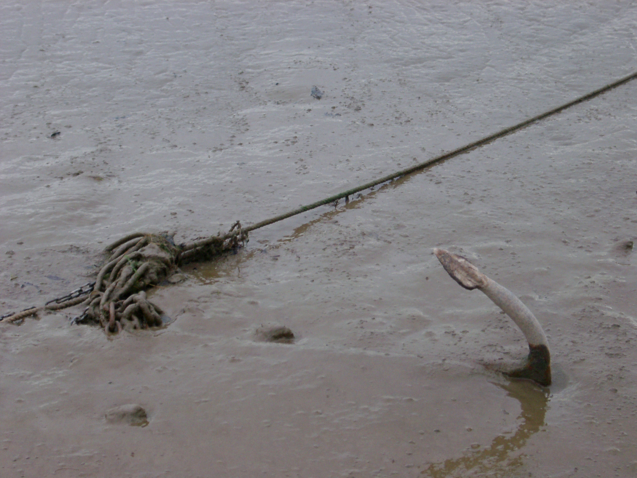 an image of Fluke of a marine boat anchor with an attached chain and hawser sticking up out of the mud, with copyspace