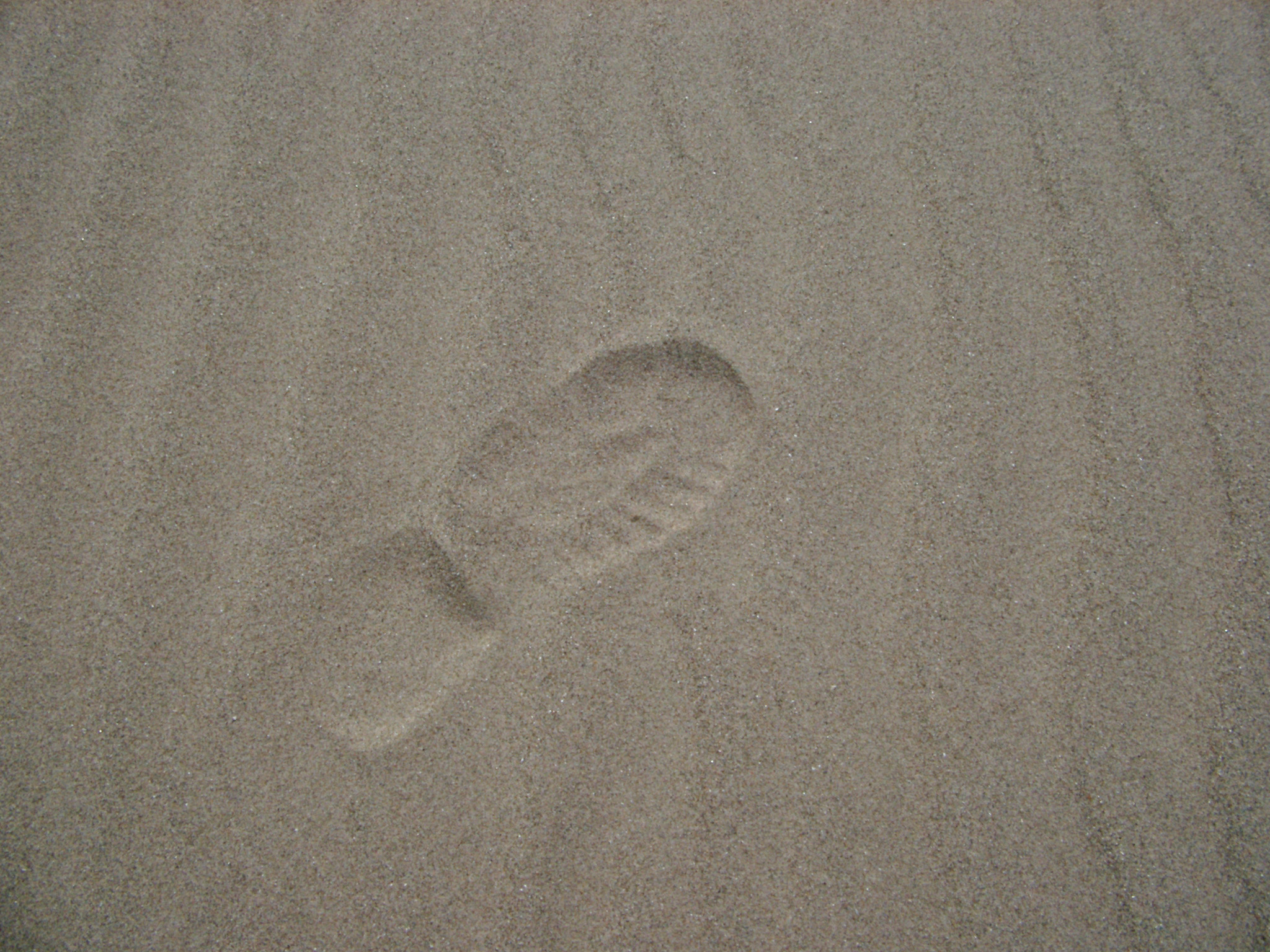 an image of Close up shot of conceptual single human footprint on the gray sand at the beach.